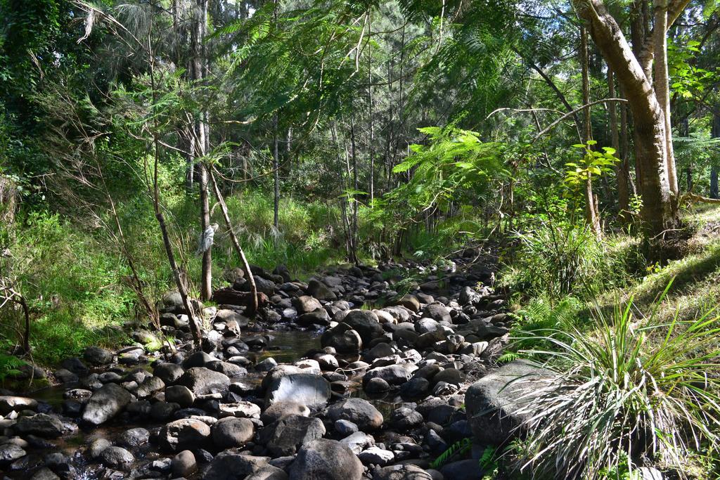 Hotel Tuckers Retreat Canungra Exterior foto