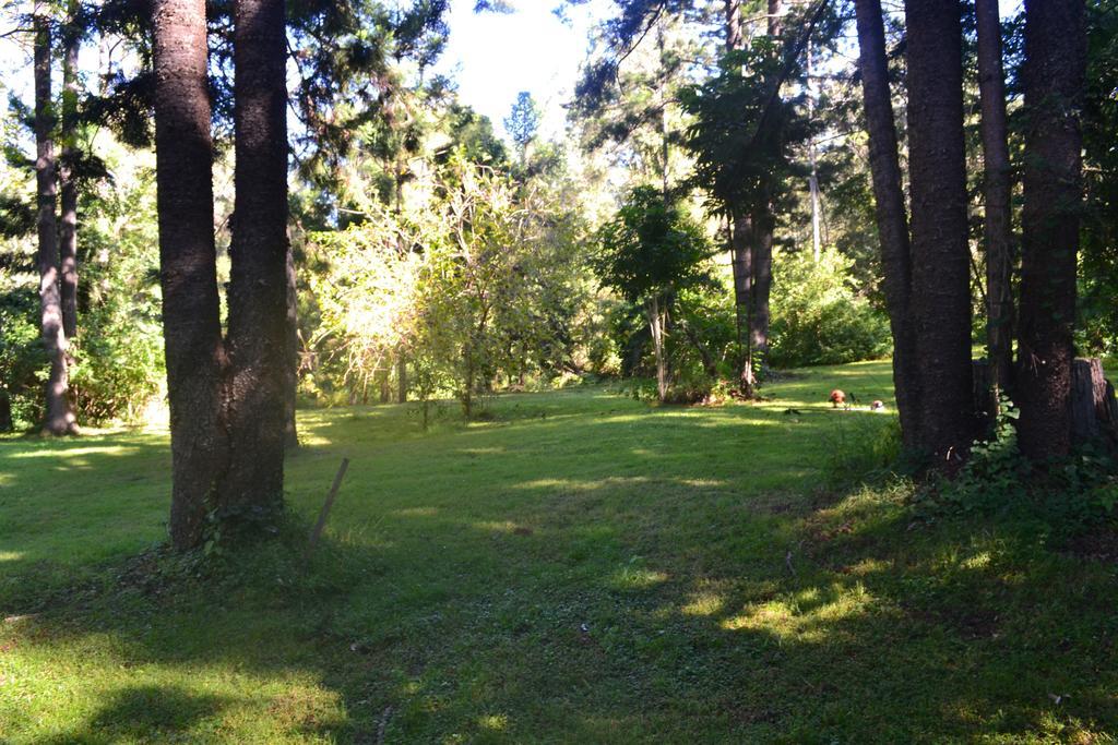 Hotel Tuckers Retreat Canungra Exterior foto